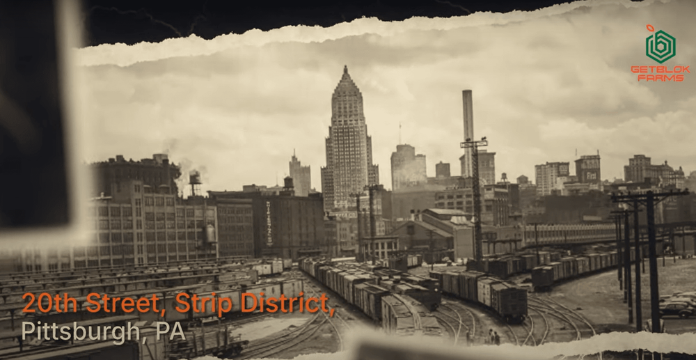 Fresh Produce is Coming Back to The Terminal!