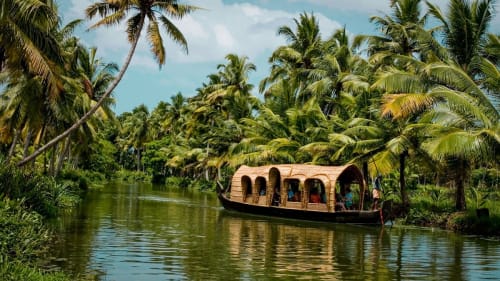 Kerala Backwaters, Tea Mountains, and a Fort Kochi Evening: The 7-Day Circuit That Works