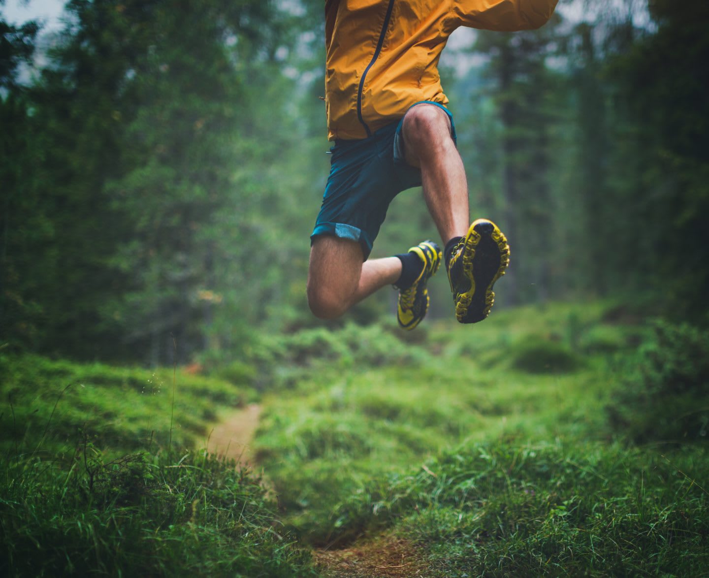 A man exercise trail running in a green and wet forest, jumping over tree roots. running, outdoors, freedom, trail running, health, fitness.