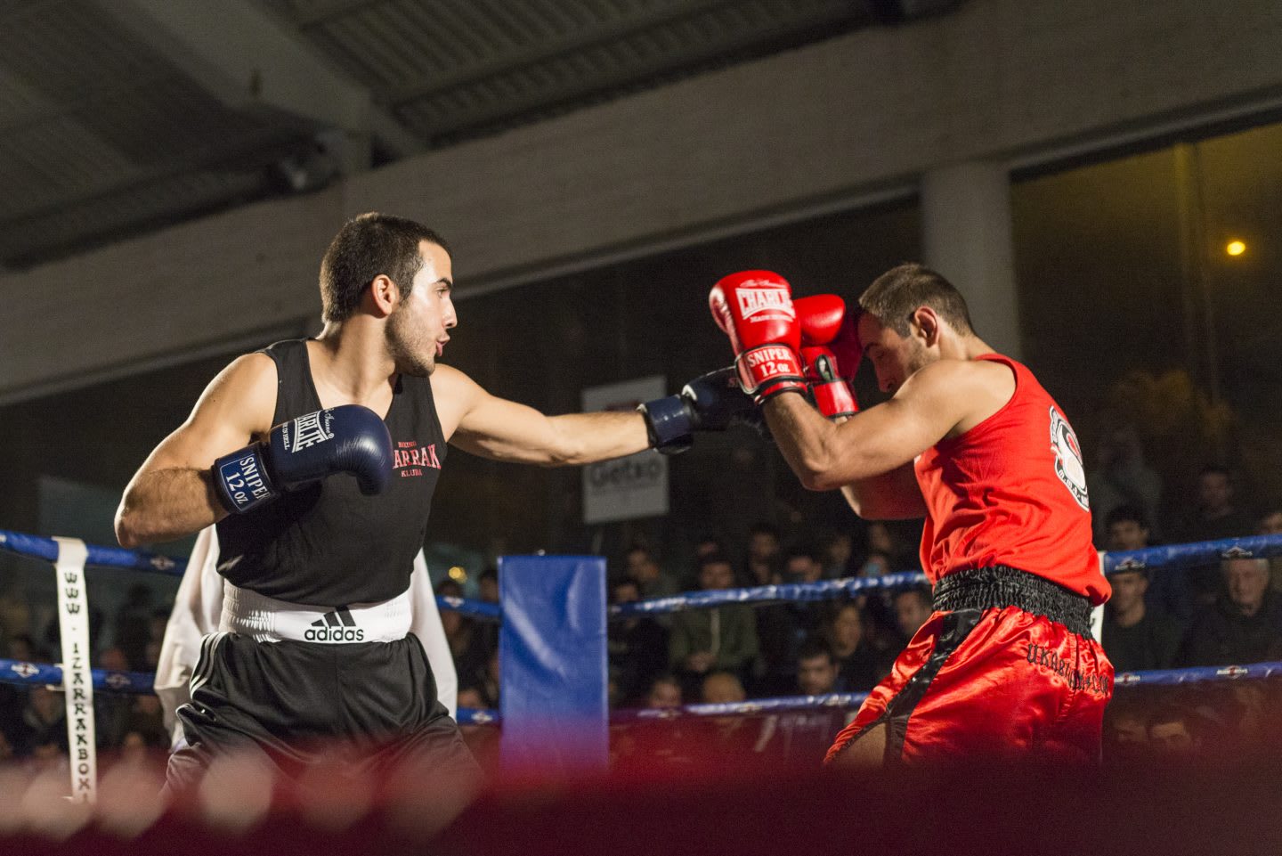 Two man fight in a boxing ring. boxing, sport, competition, strong, challenging