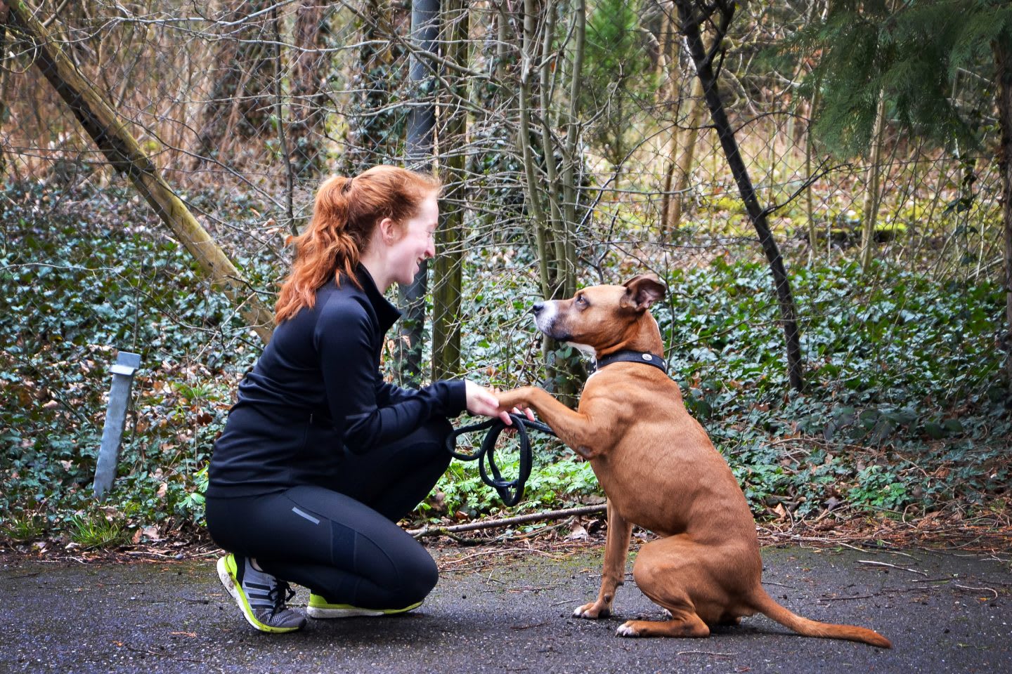 A female runner is sitting on her haunches and holding the paw of a brown dog, which is sitting vis-a-vis. running, dog running, purpose-driven life