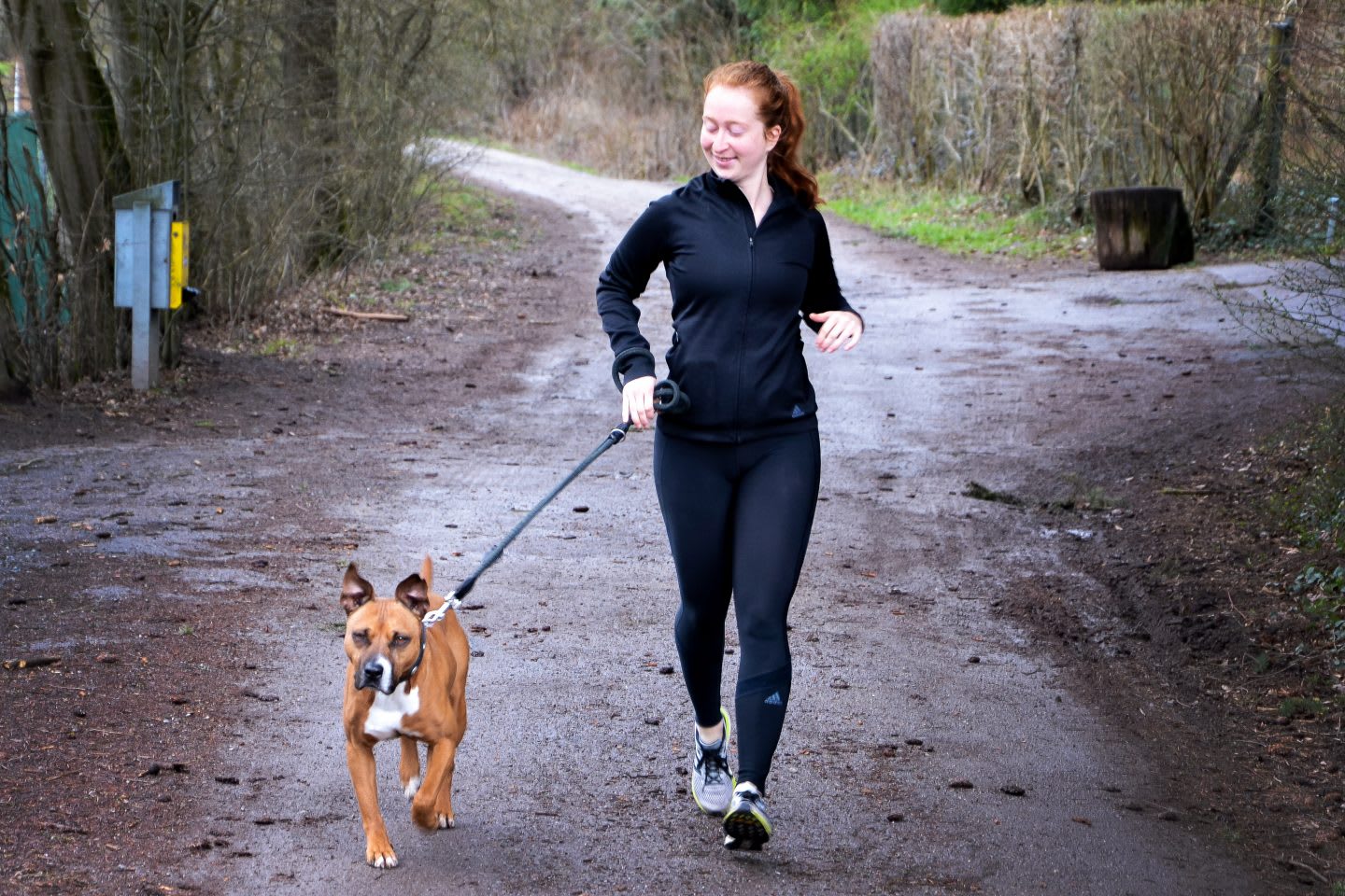 A female runner is running with a dog on a forest track. dog running, purpose-driven life, fitness