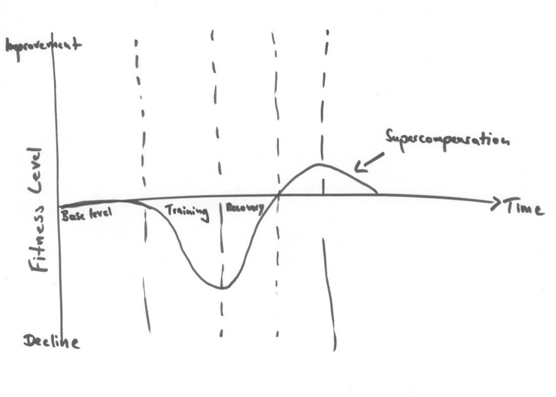 Supercompensation-ModeulTaking a break at work