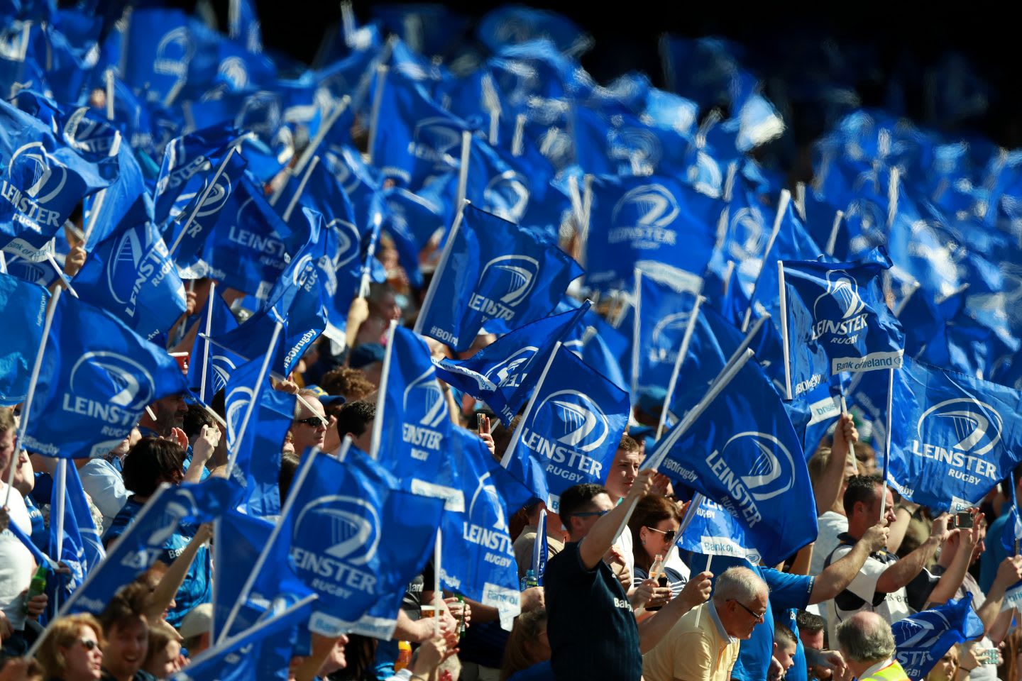 rugby fans waving team flags. my career
