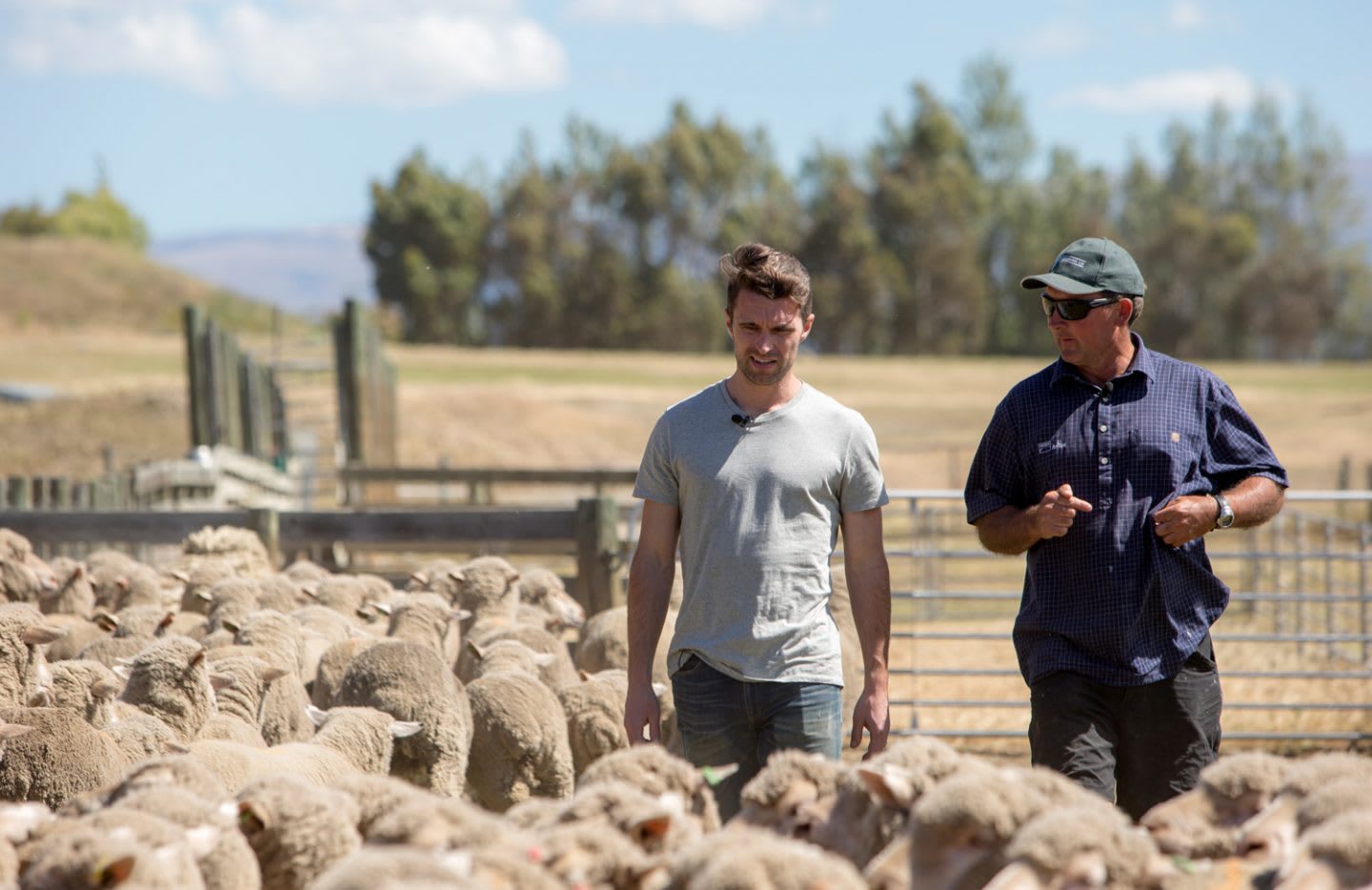 Two men walking through a herd of sheep while they talk, Tim Brown, CEO, New Zealand, farm, sustainability, materials, eco-friendly, wool, Allbirds