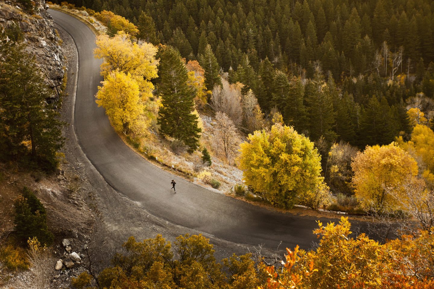 Solo runner running down winding round in between trees with autumn leaves, fall, scenic, mountain, road
