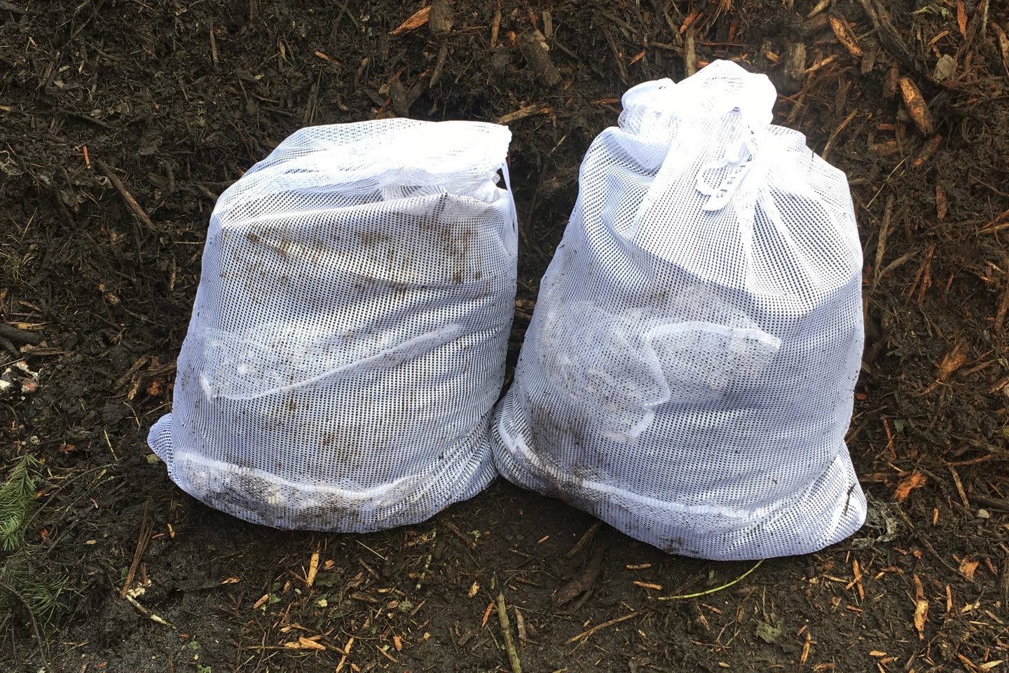 Reebok shoes in sustainable bag composting in organic matter, sustainable, compost, Reebok