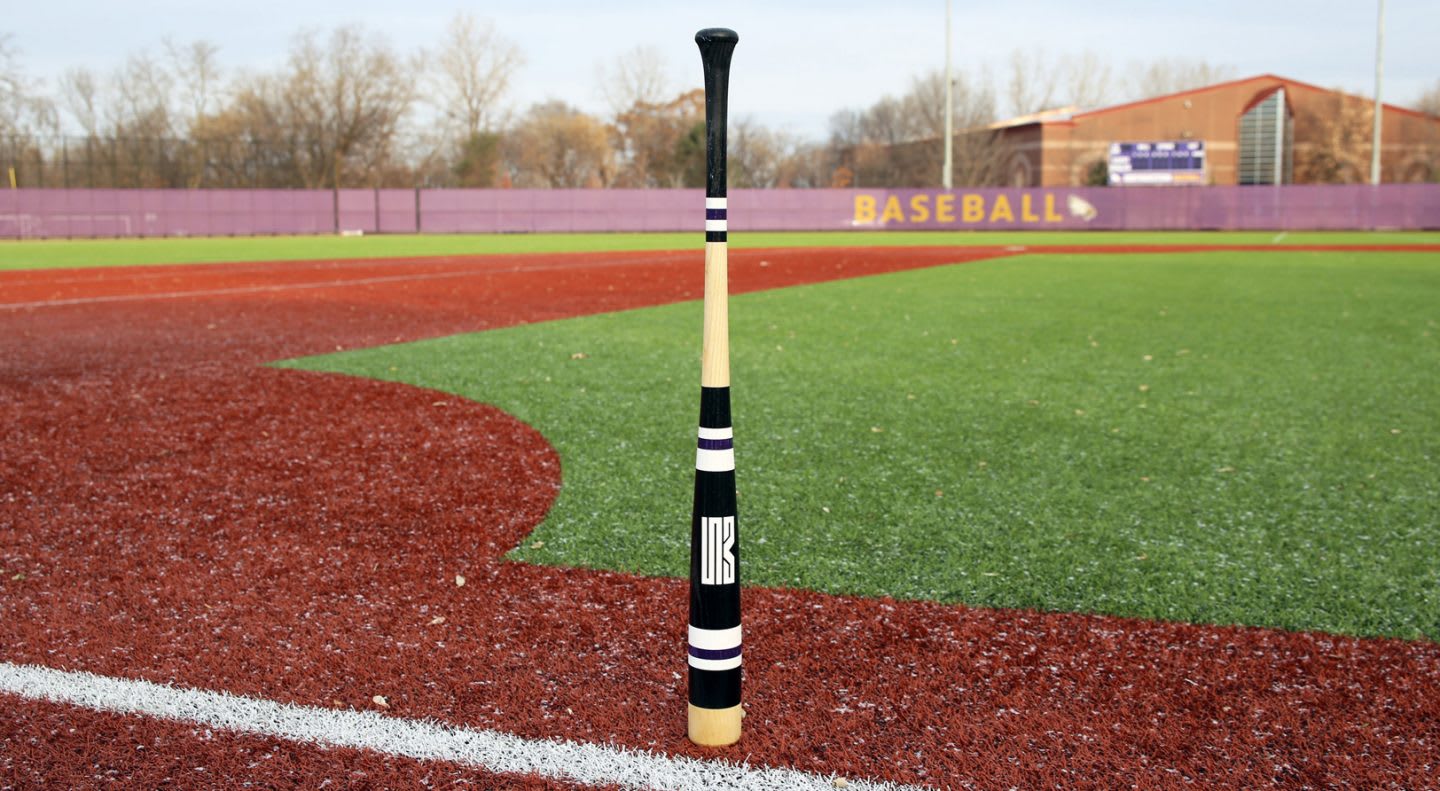 Baseball bat standing upright on baseball field on a sunny day, baseball, sport, Adam Martin, Makers of Sport, Mitchell Bat Company