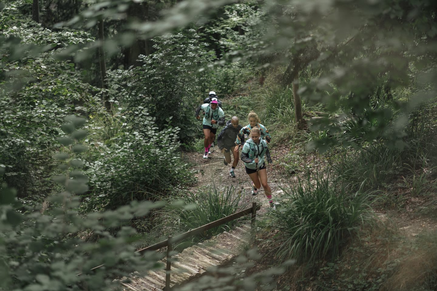 Group of men and women trail running in an outdoor environment, adidas, Outdoor, Terrex, sports, exercise