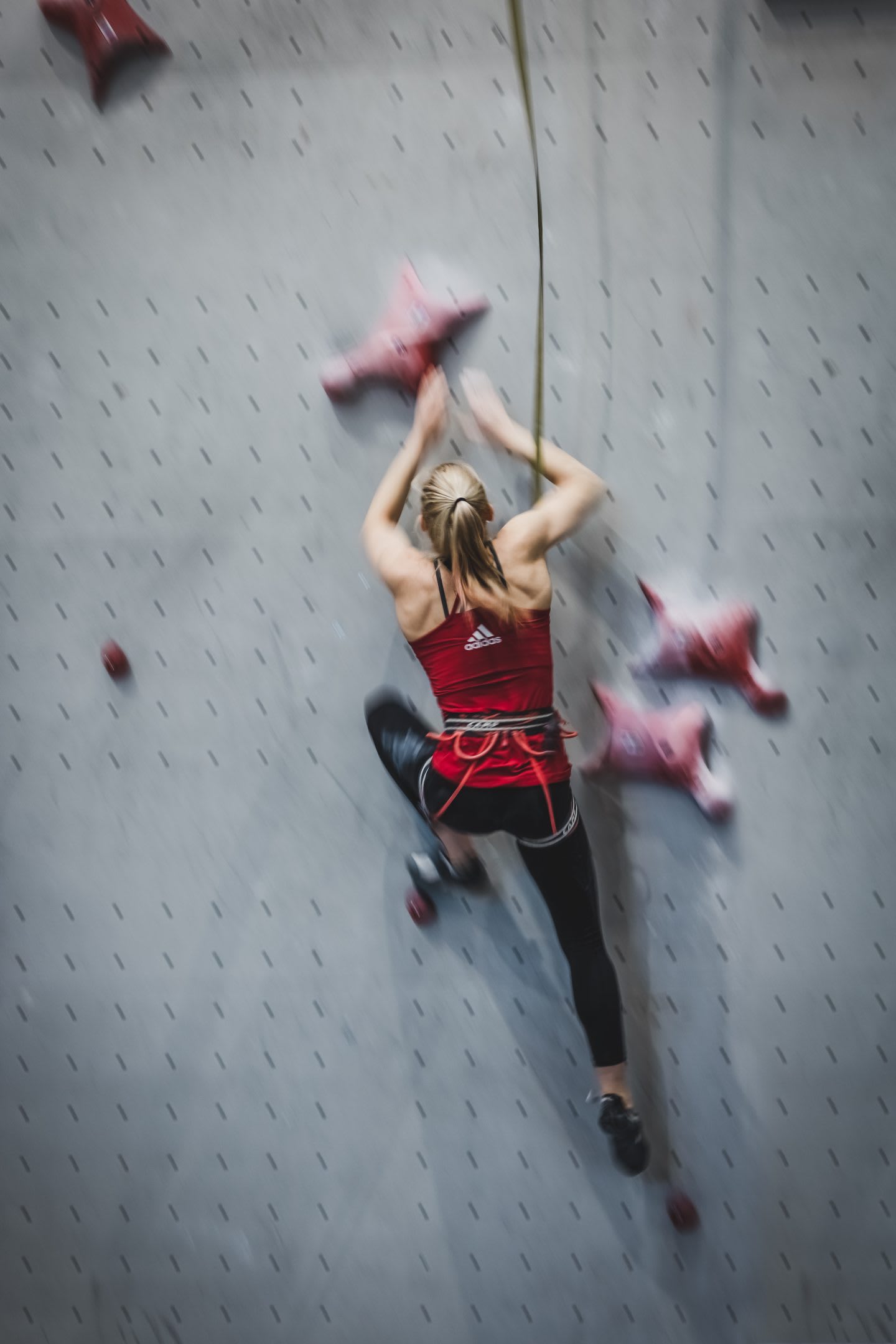Janja Garnbret climbing indoor on a grey wall. Janja Garnbret, climbing, indoor, mindset, speed climbing