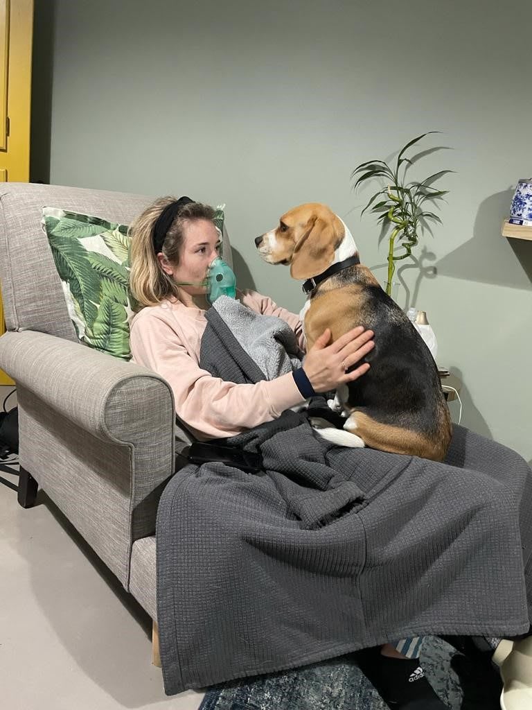Anruné Weyers, Covid, oxygen, beagle, dog