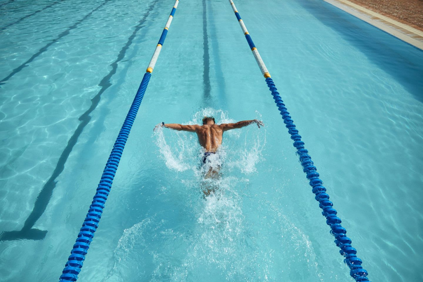Man swims in a swimming lane of a pool.