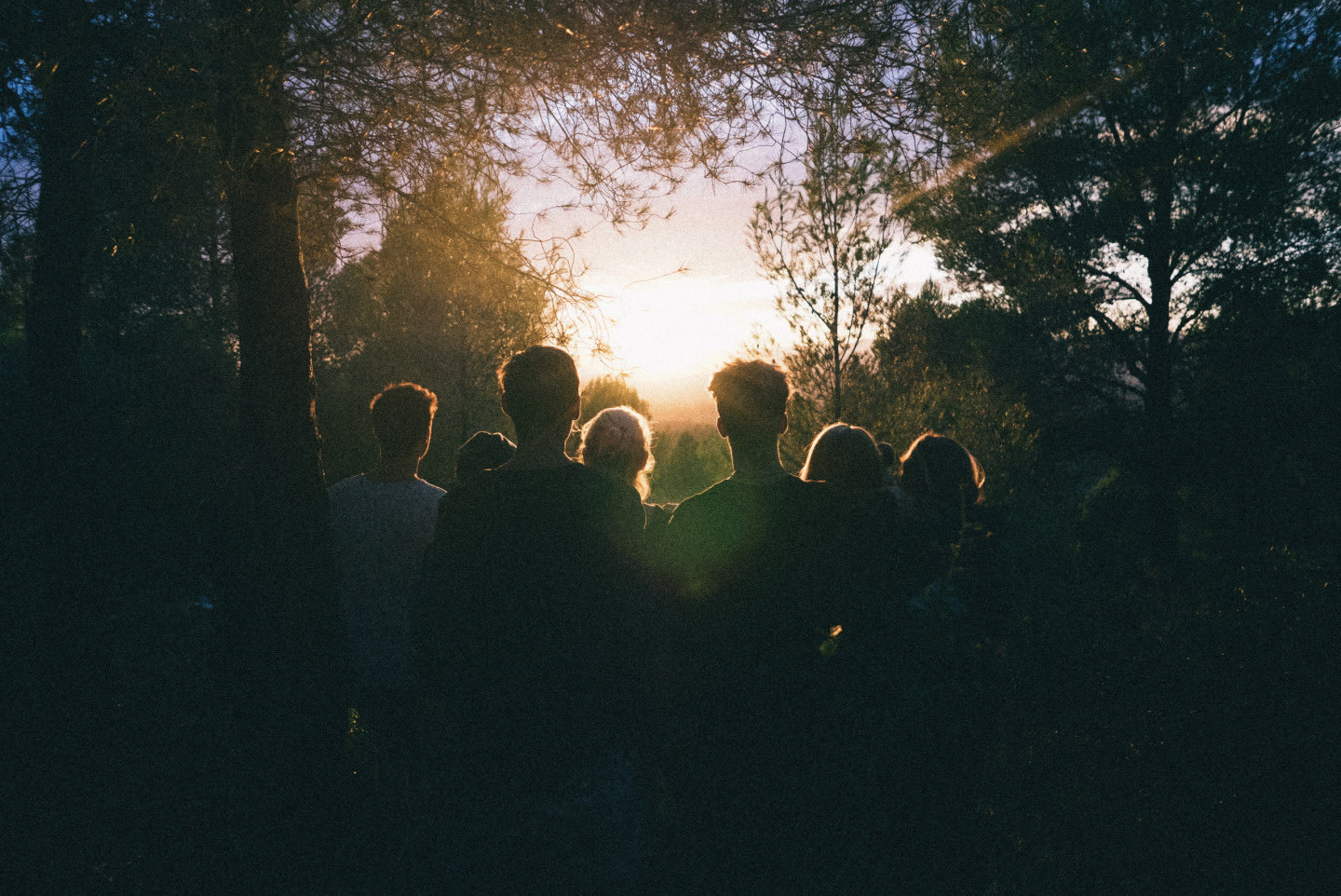 A group of people watching the sunrise