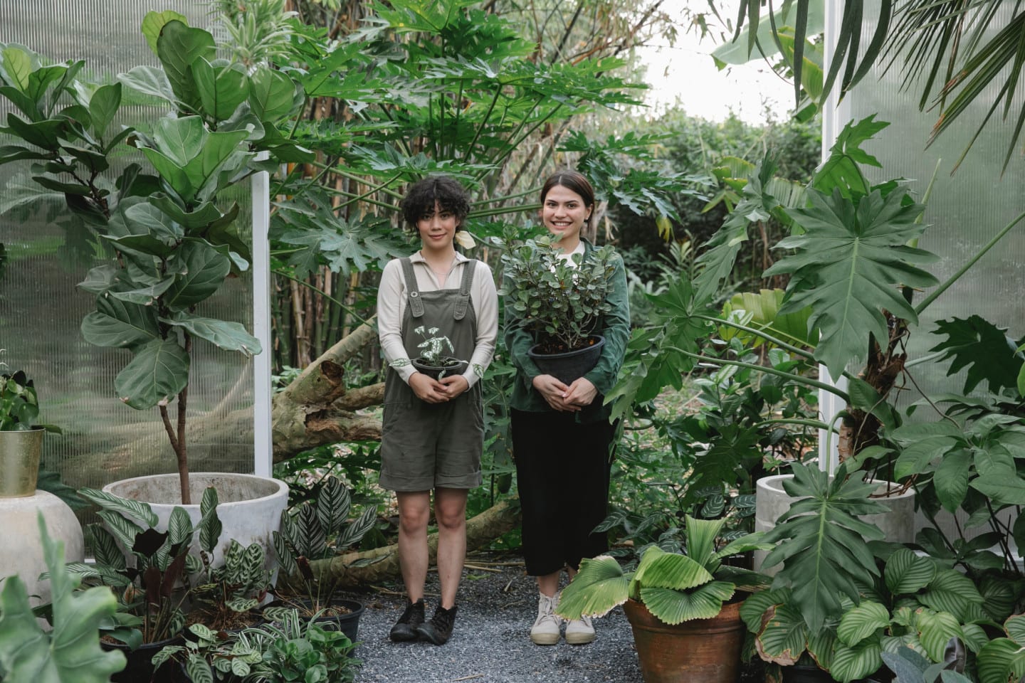 Two women stand in a nursery