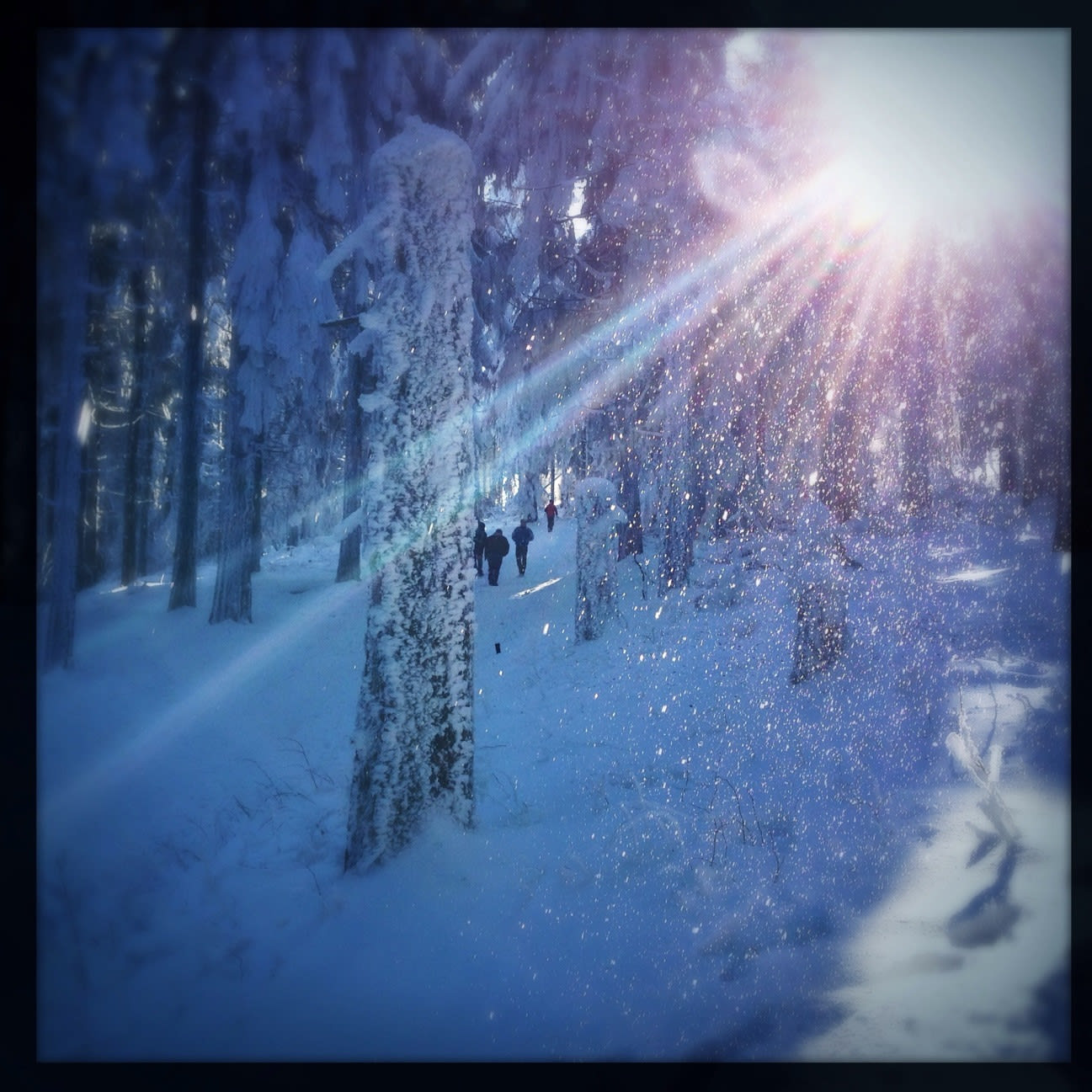 winter wonderland fitness guide for holidays