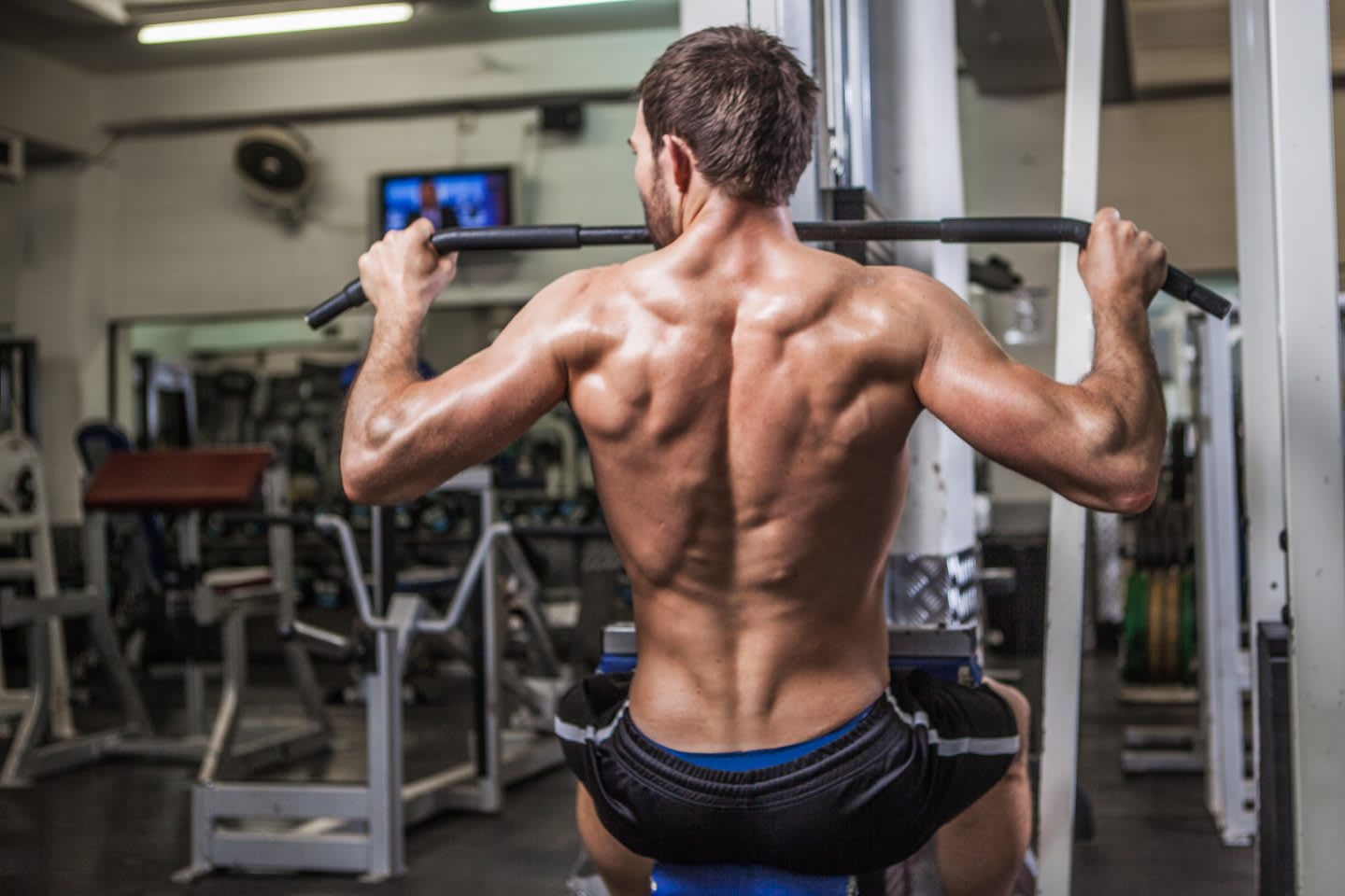 Man working out in the gym. Muscles, back champions do more