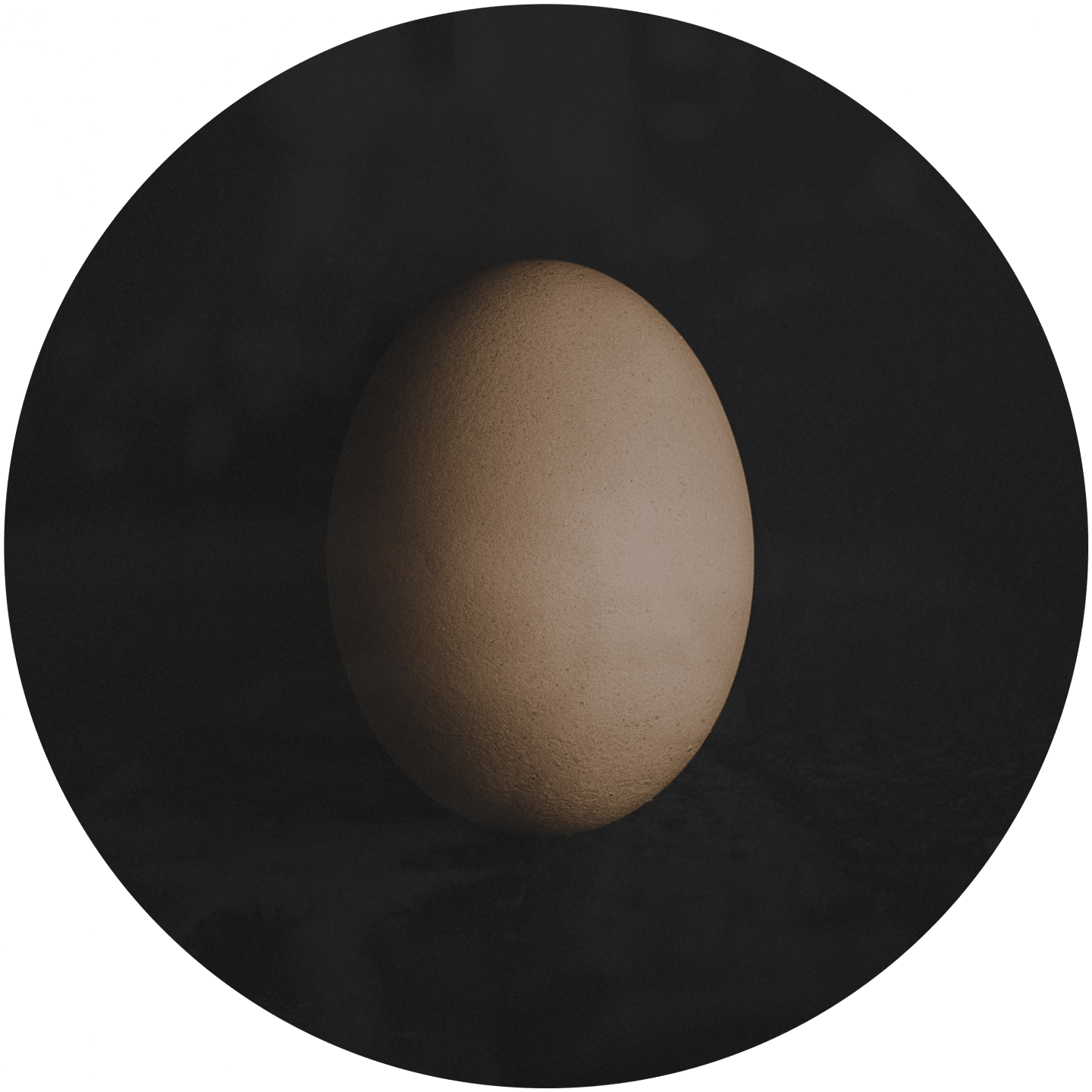 A brown egg in front of a black background. team building, team event, games, egg dropping, adidas, GamePlan A
