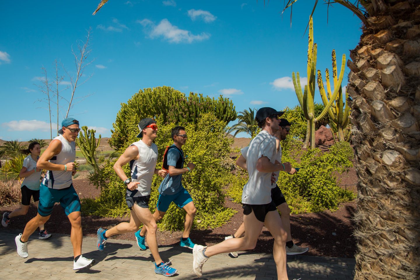 A team of runners run together in the hot sun. teamwork, determination, togetherness