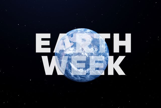 adidas Earth Day Challenge 2020- adidas 