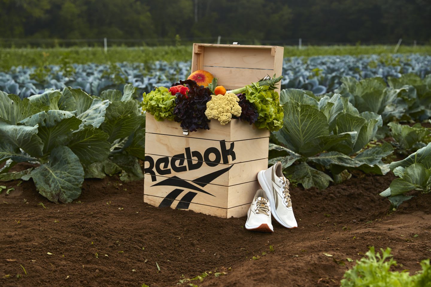 Reebok Forever Floatride GROW with a box of vegetables in a farm, Sienna Farms, Reebok, sustainability