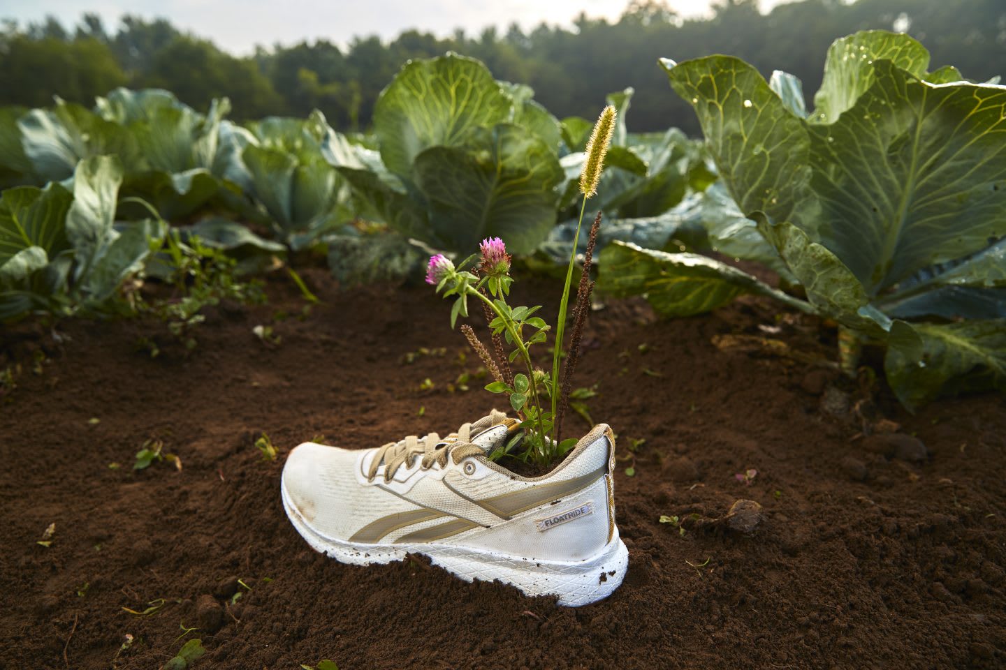 reebok plant based shoes