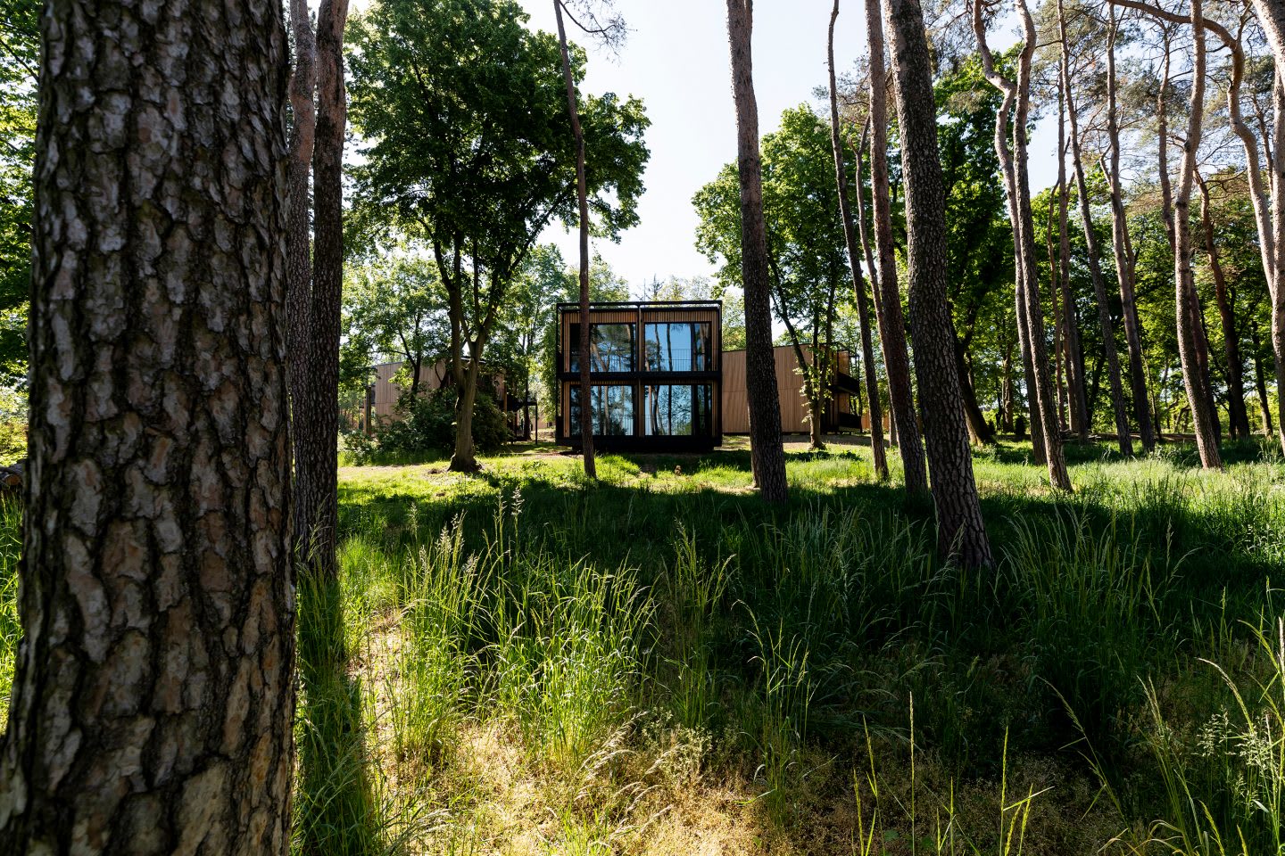 A small house in the middle of a wooden area as a stay for the Germany national football team. Home Ground, football, teamwork, adidas headquarters, GamePlan A.