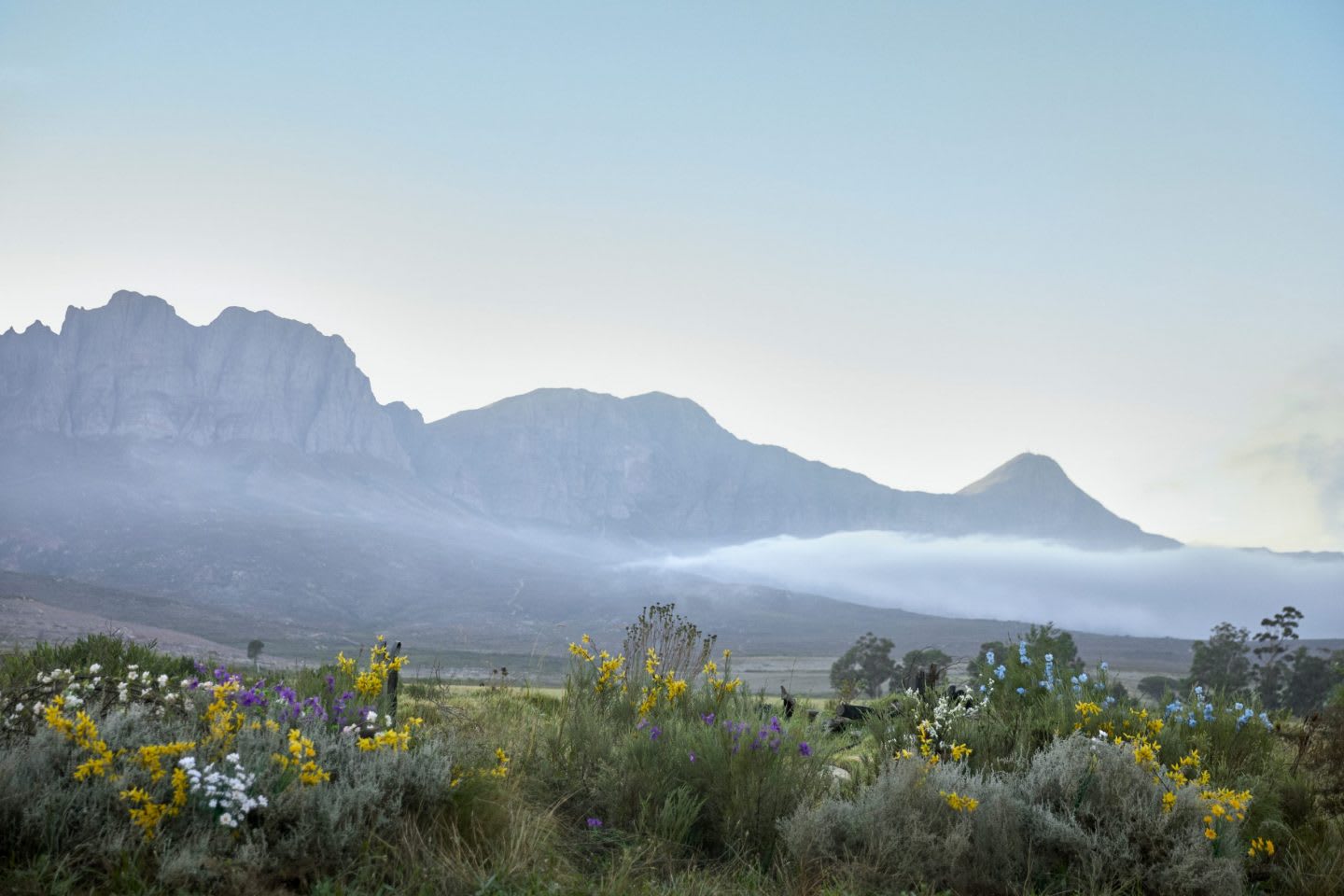 nature, landscape, mountains, sustainability