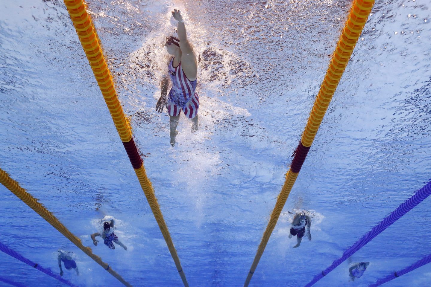 swimmer, pool, sports, training