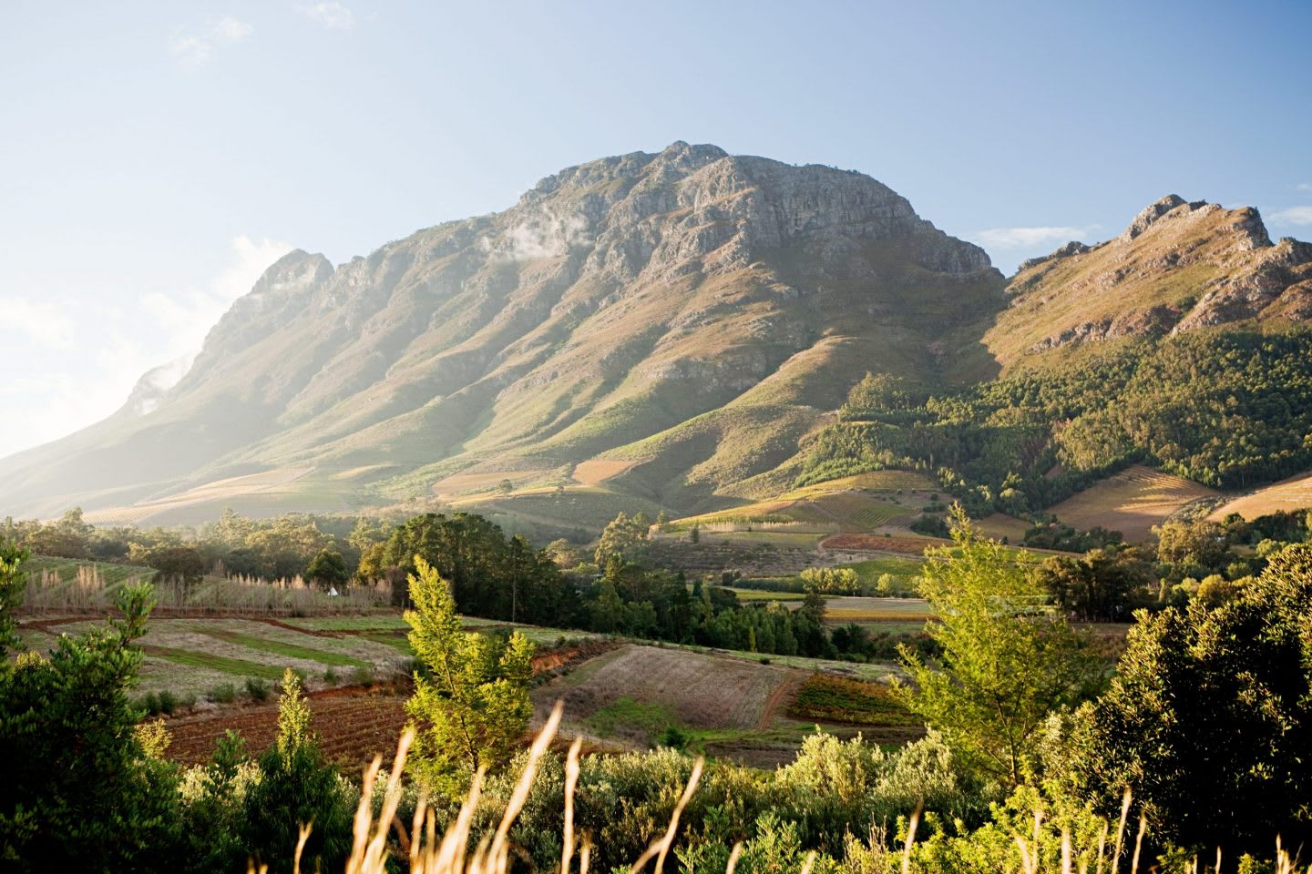 Stellenbosch, South Africa, nature, Sustainability, Damian Willemse