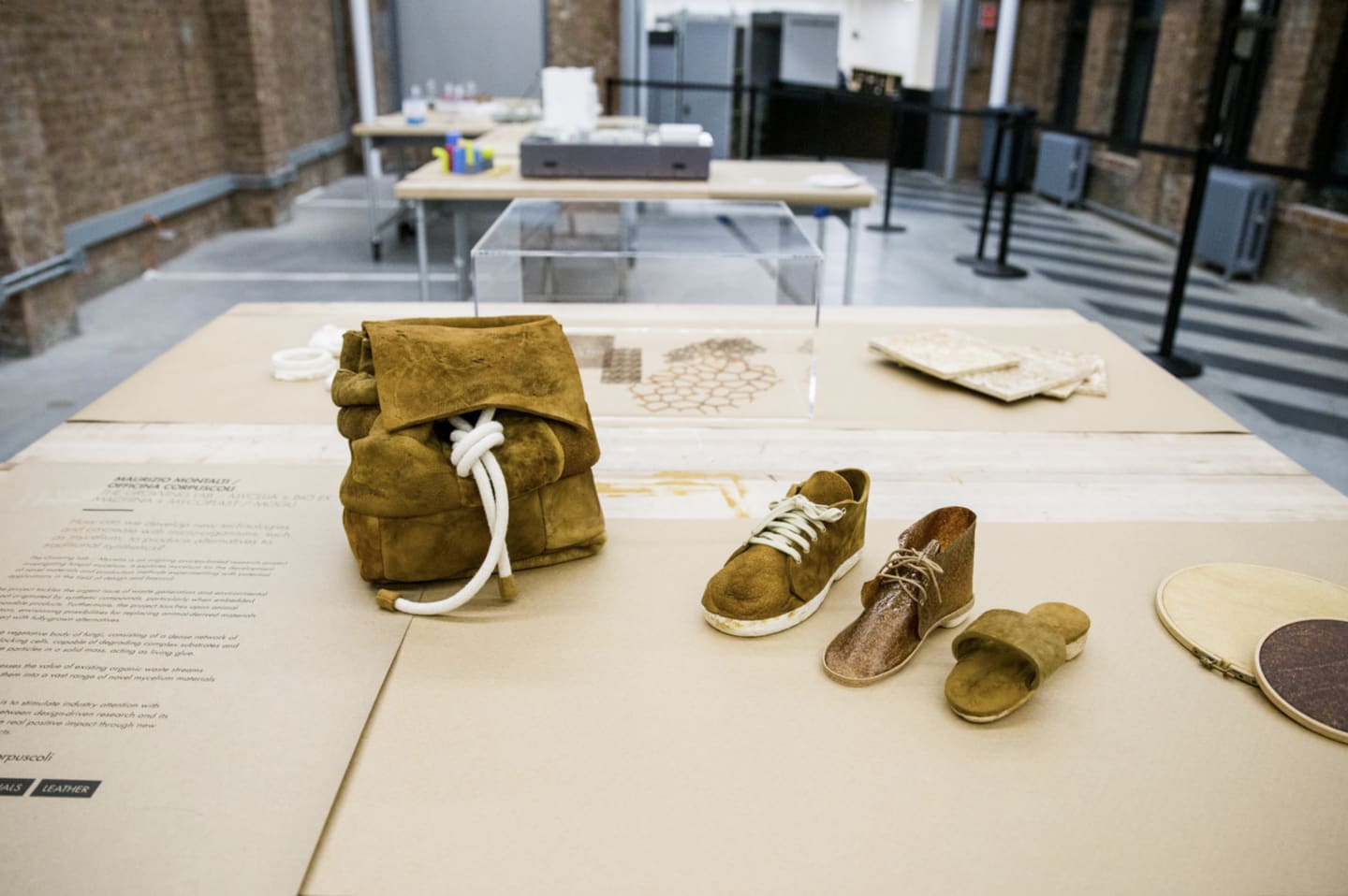 science and design adidas biofabricate innovation