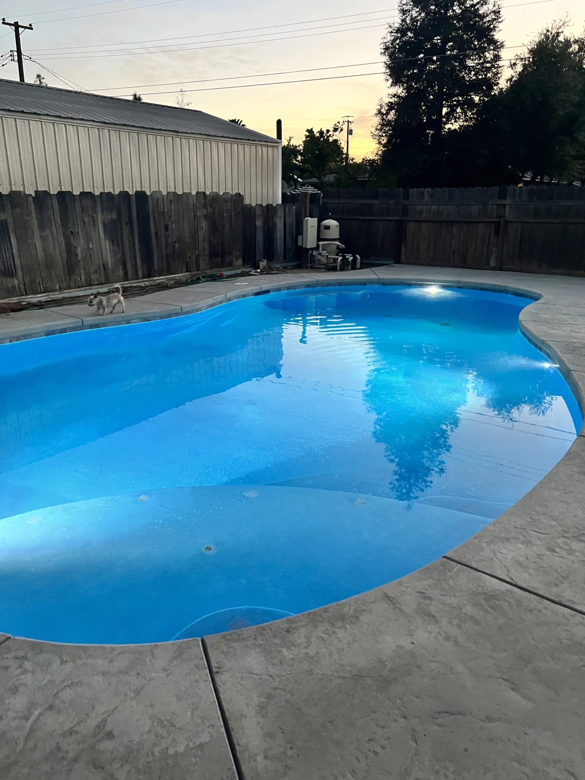 Backyard Pool Installation - Reedley, CA - Image 6