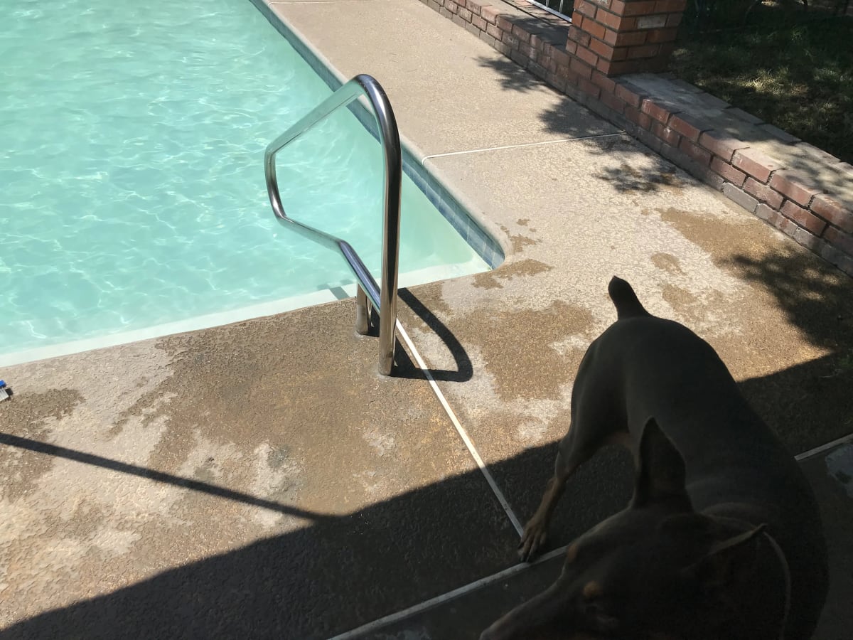 Stainless Steel Pool Handrail Installation - Reedley, CA - Image 3