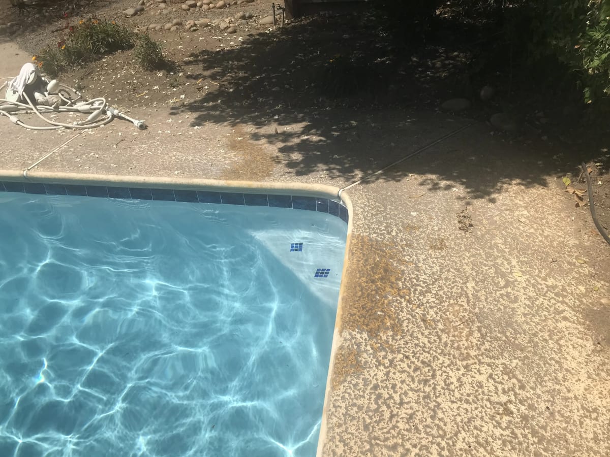 Complete Pool Replaster and Tile Upgrade - Reedley, CA - Image 8