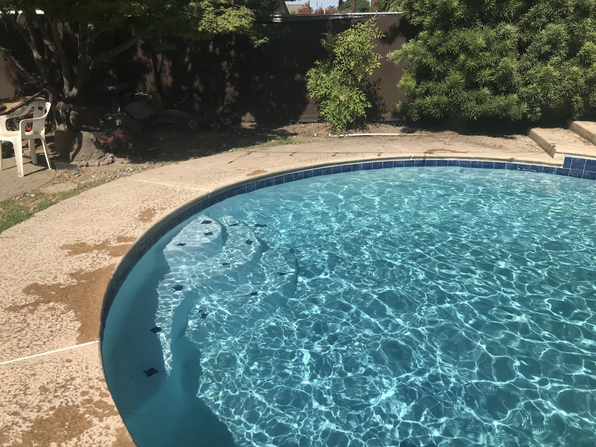 Pool and Spa Replaster with Tile Upgrade - Selma, CA - Image 6