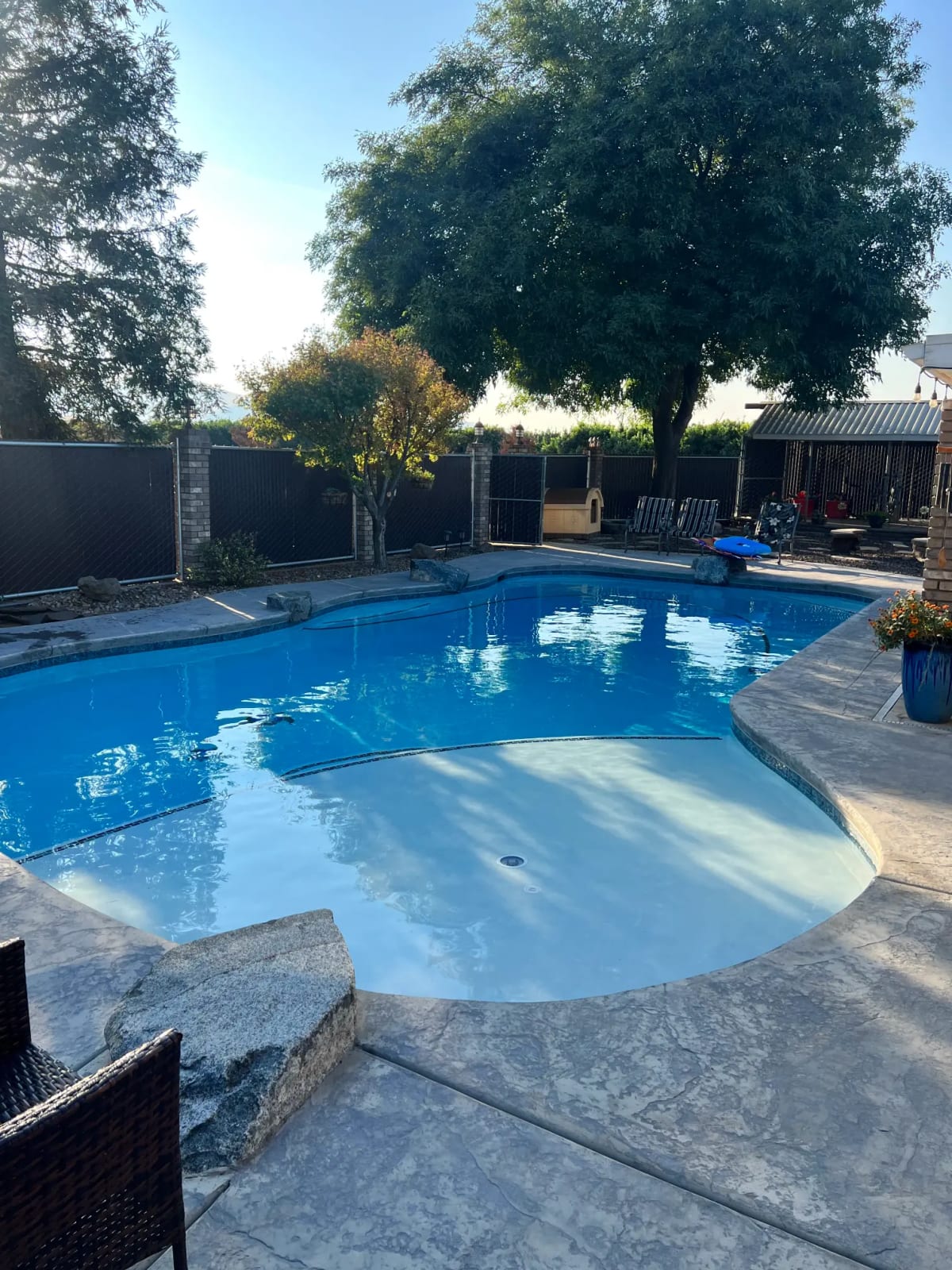 Custom Pool with Rock Waterfall Feature - Cutler, CA - Image 13