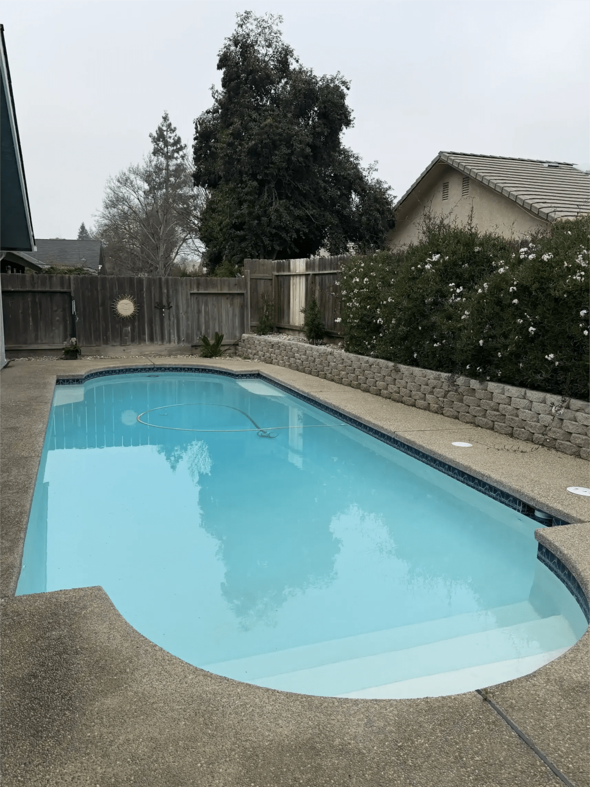 Pool construction and maintenance - Photo 6
