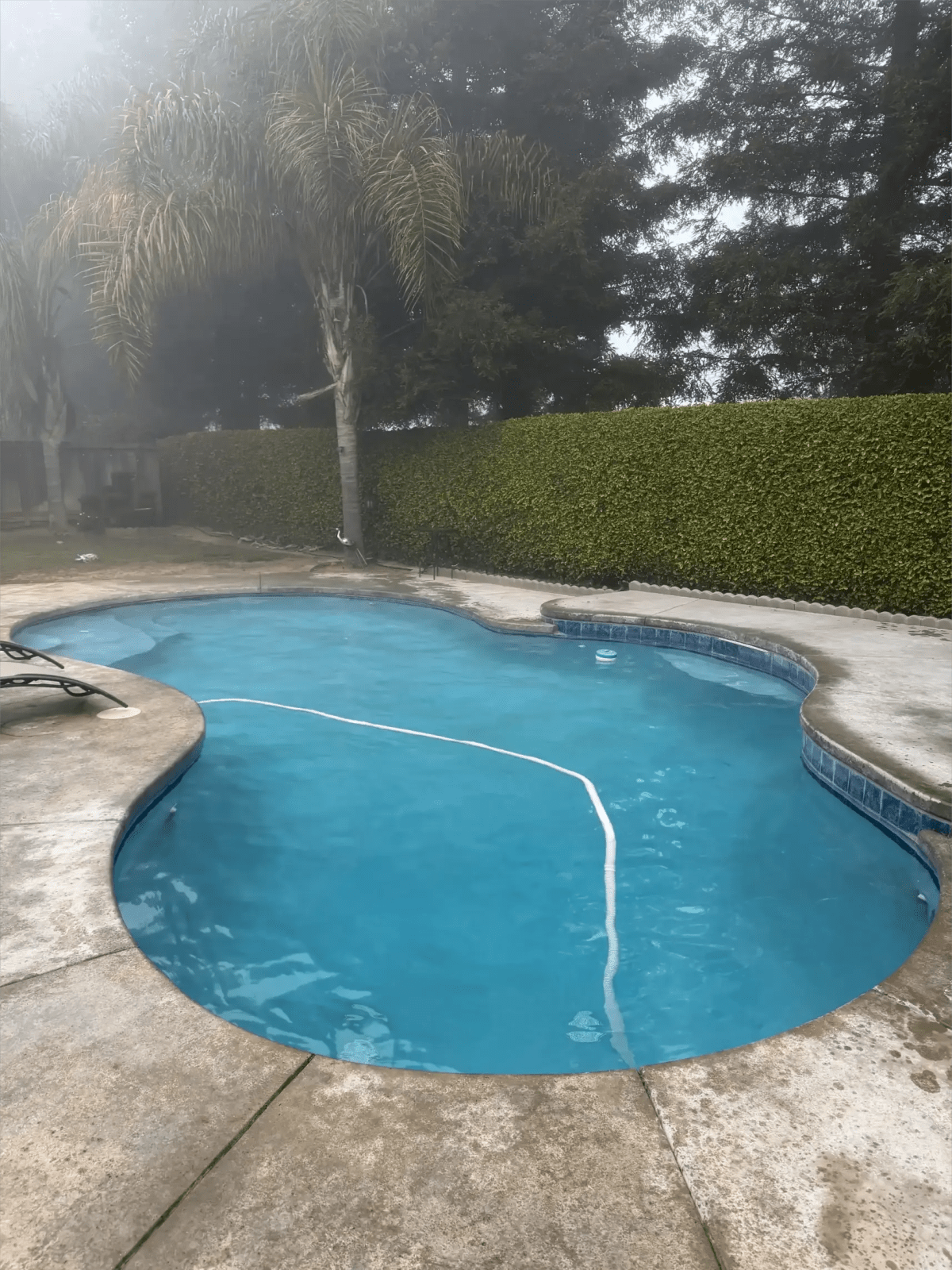 Pool construction and maintenance - Photo 37