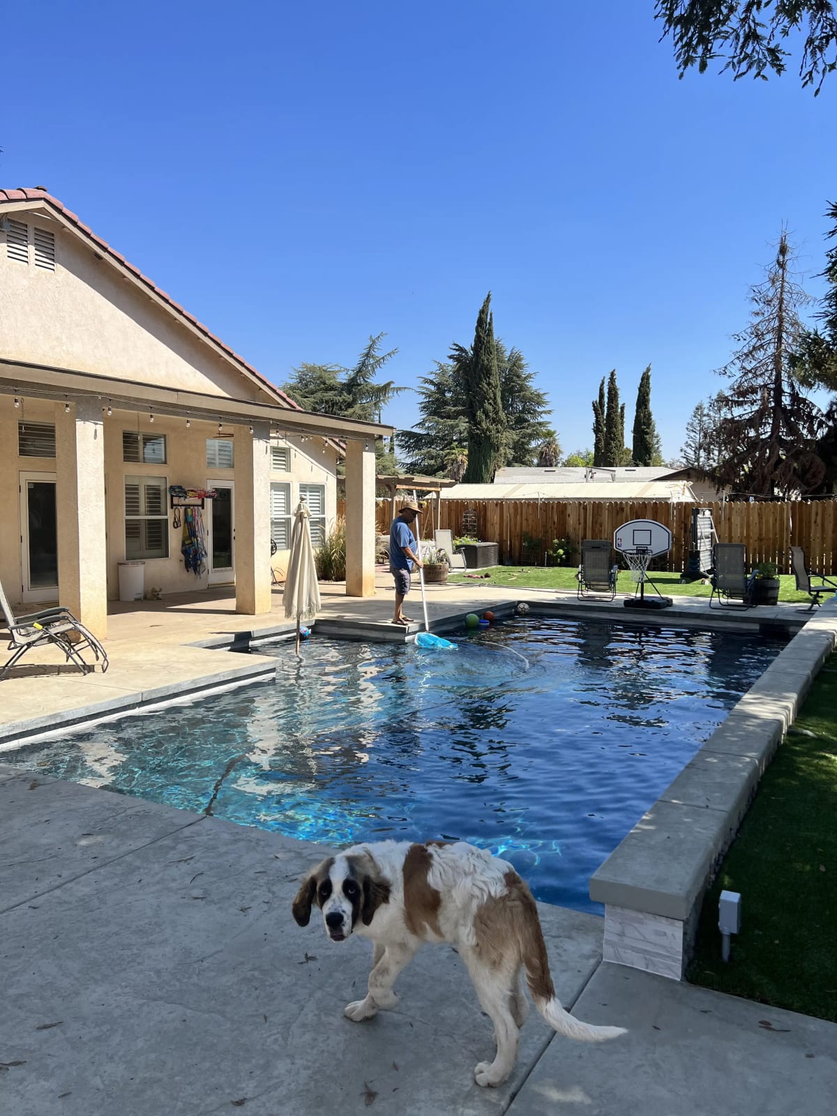 Custom Gunite Pool with Integrated Spa - Reedley, CA - Image 10
