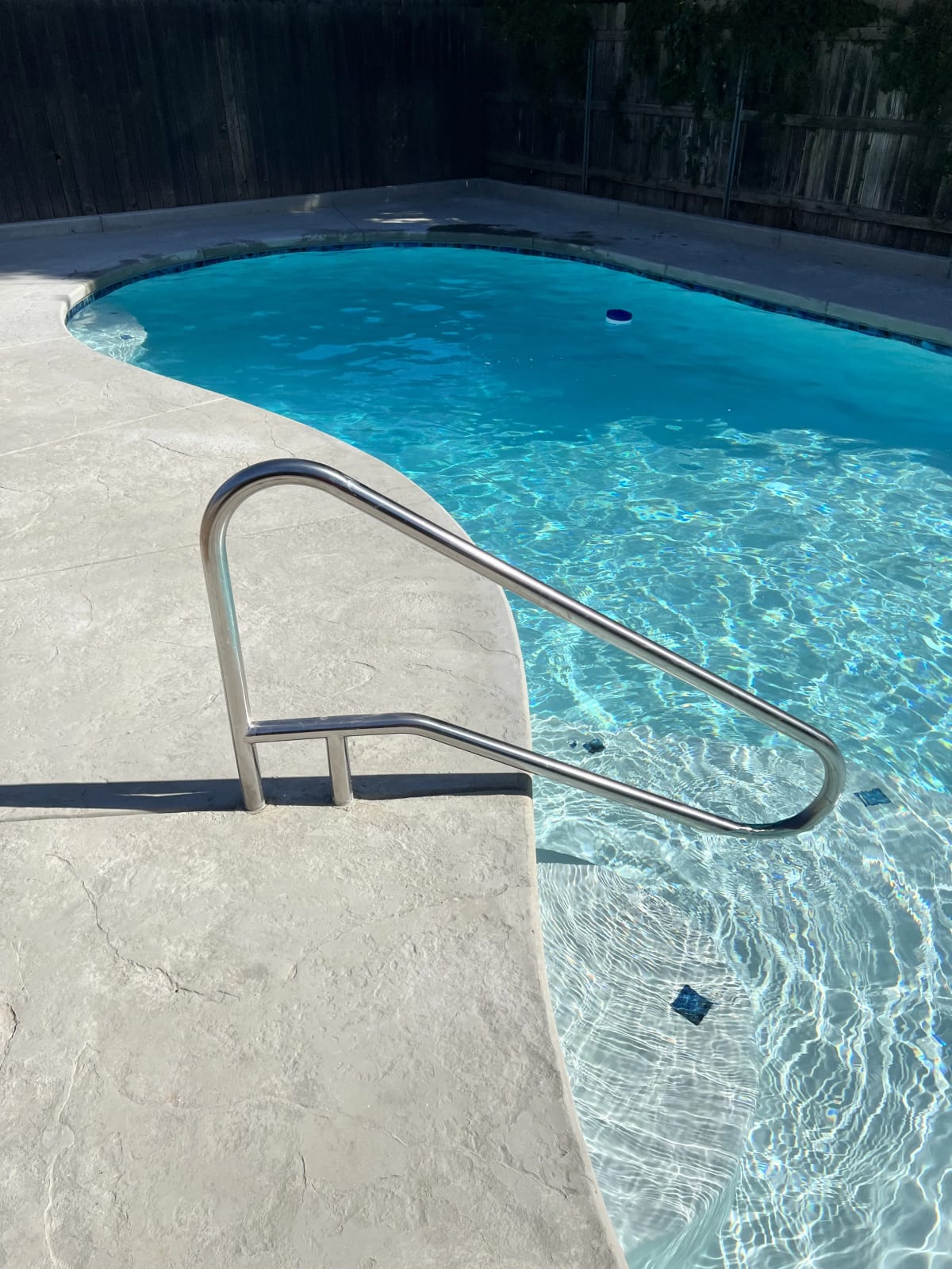 Custom Freeform Pool with Spa - Reedley, CA - Image 12