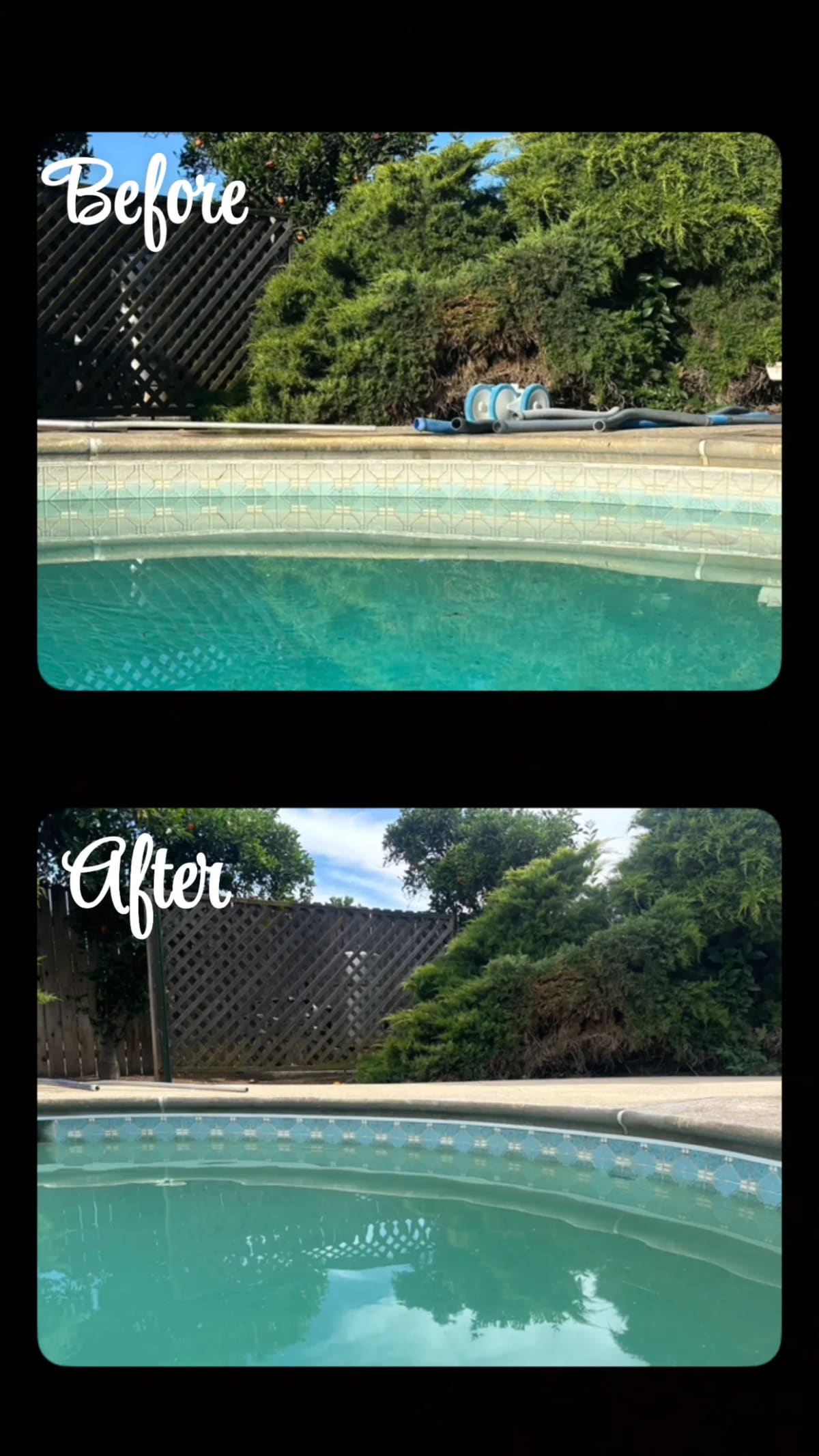 Professional Pool Tile Cleaning - Central Valley, CA - Image 3