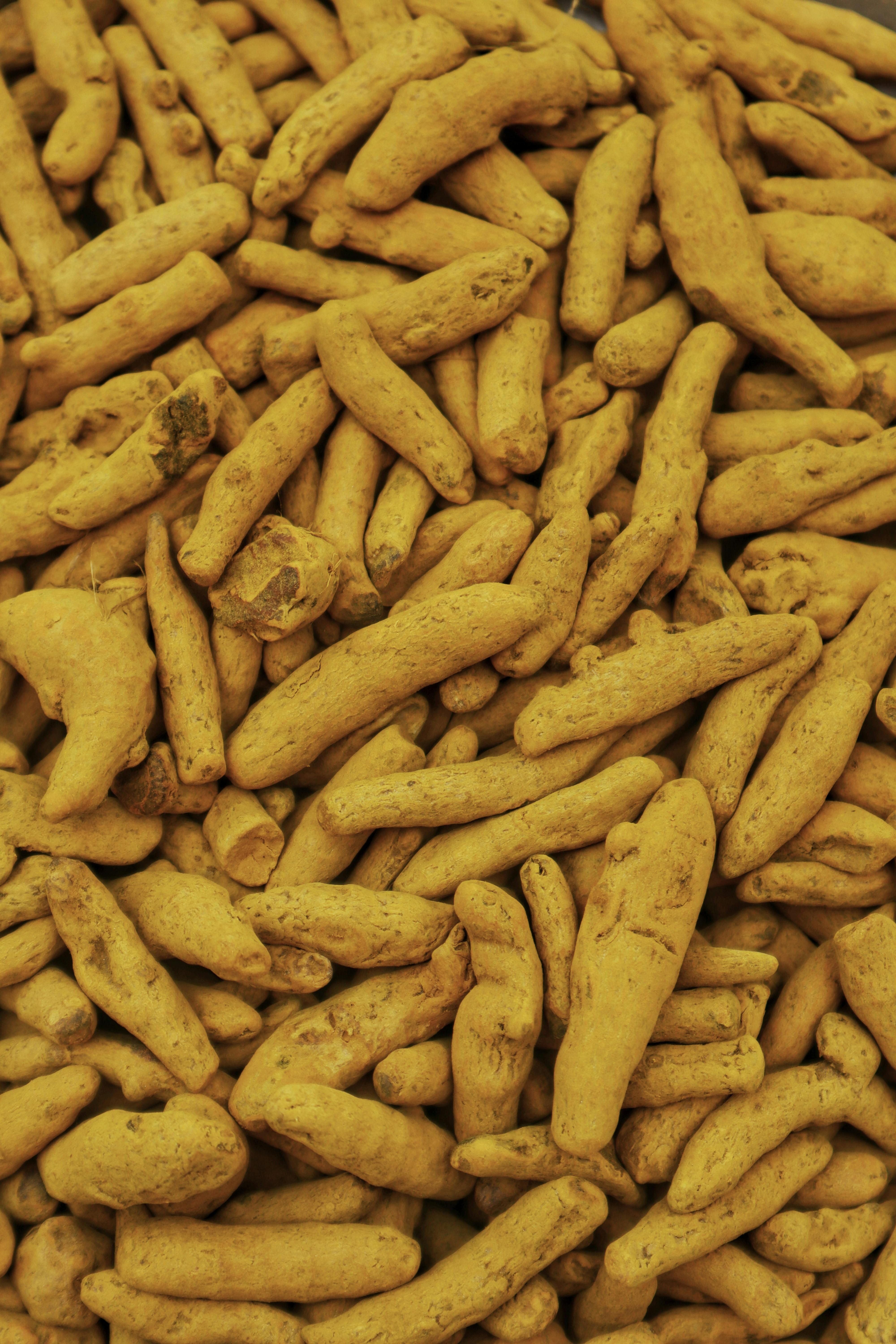 Turmeric Fingers - Grace Ferro Exports