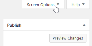WordPress Screen Options in Editor