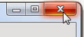 X button on windows form