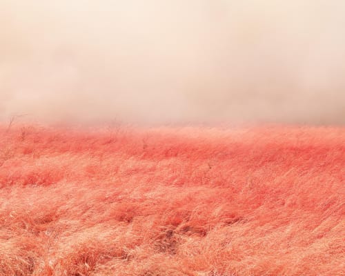 In Light Years — photograph by Andrew Owen