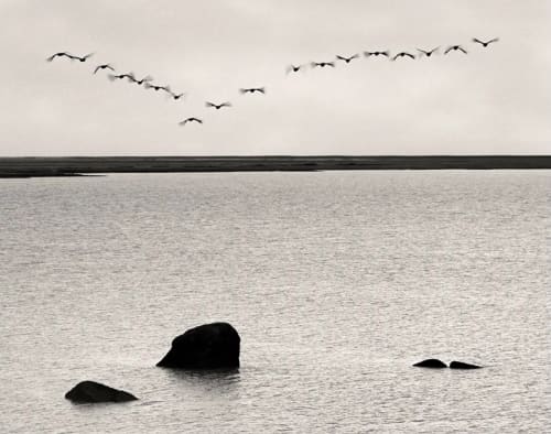 Transitions — photograph by Fabio Pelinga