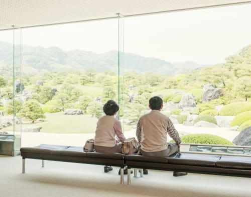 Between Sakura — photograph by Nick Meek
