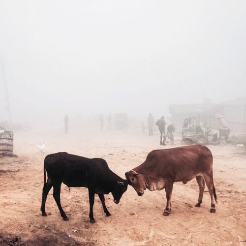 Terra Firma — photograph by Parth Gupta