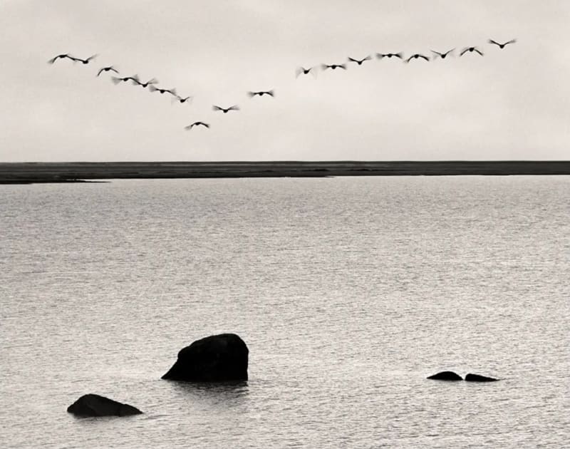 Transitions — photograph by Fabio Pelinga