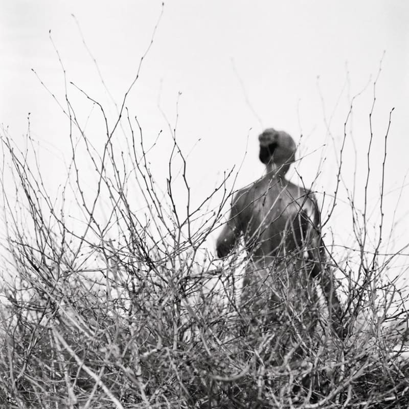 Abandon — photograph by Uzma Mohsin