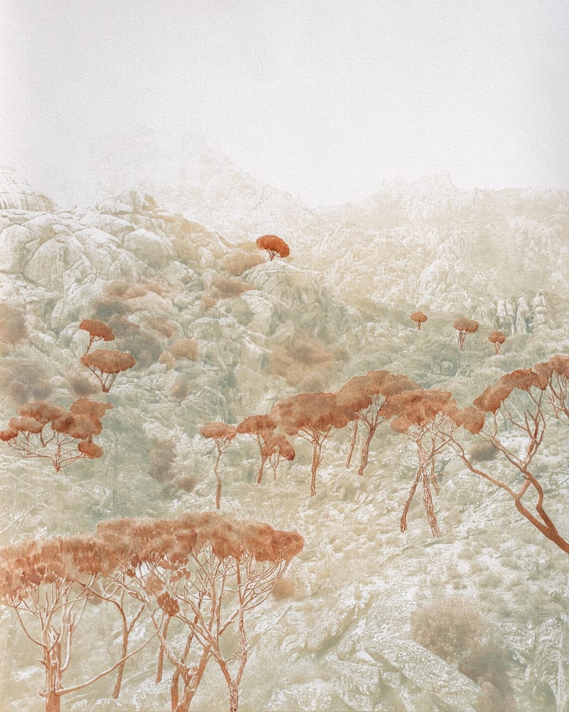Till Mines Do Us Part — photograph by Ece Gökalp